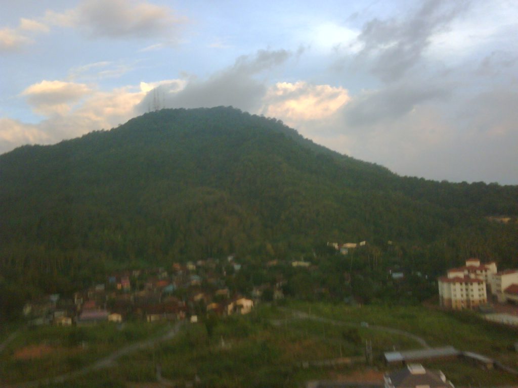 IMG00005-20091203-1852.jpg